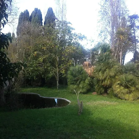Town & Country Guest House B&B-3